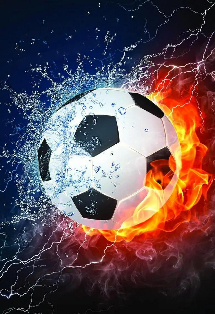 赛事组织者使用场景